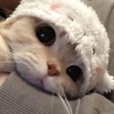 ندا خان avatar